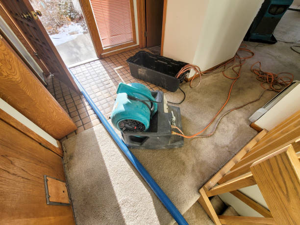 Best Water damage restoration specialists  in Calera, OK
